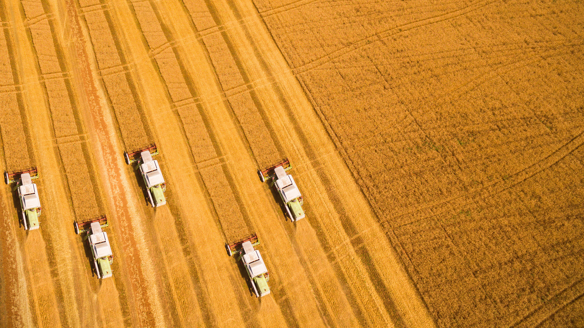 Agriculture Field with Four Tractors