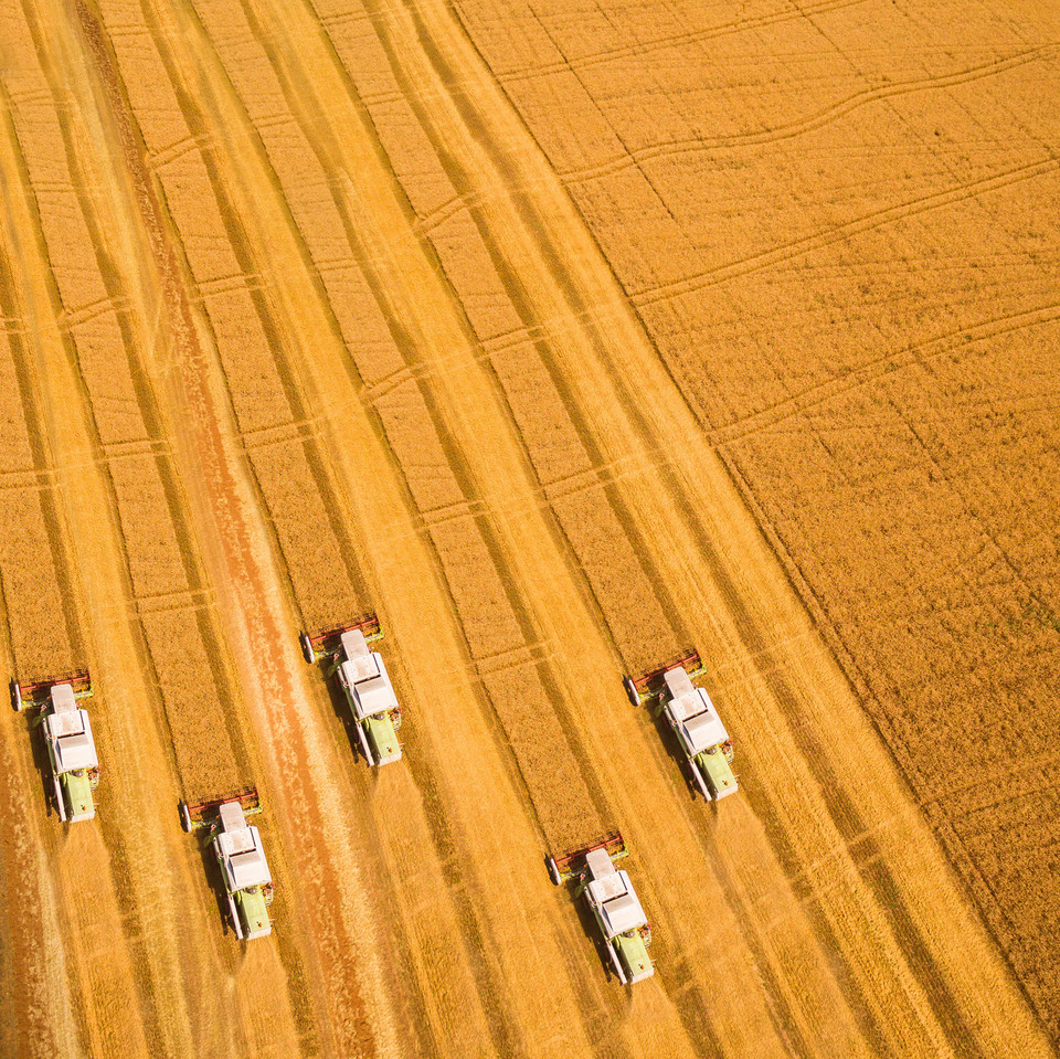 Agriculture Field with Four Tractors